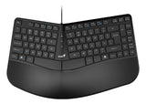 Teclado Genius Ergo Kb-700 Usb Black Ergonomico